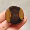 20260726_154718 Zhanguo Red Agate Pair Stone (unpolished) ZR083