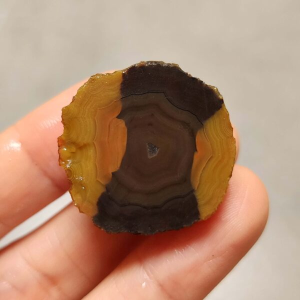20260726_154758 Zhanguo Red Agate Pair Stone (unpolished) ZR083