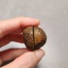 20260726_154821 Zhanguo Red Agate Pair Stone (unpolished) ZR083
