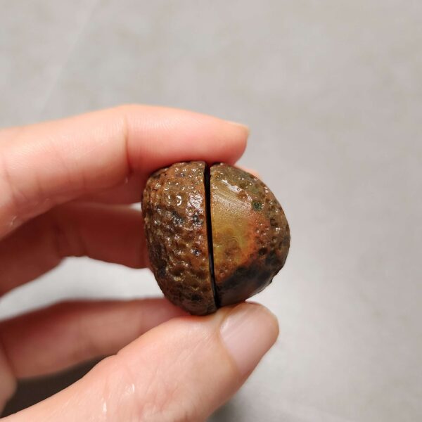 20260726_154821 Zhanguo Red Agate Pair Stone (unpolished) ZR083