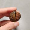 20260726_154829 Zhanguo Red Agate Pair Stone (unpolished) ZR083