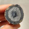 20260726_155013 Zhanguo Red Agate Pair Stone (unpolished) ZR084