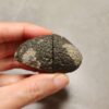 20260726_155143 Zhanguo Red Agate Pair Stone (unpolished) ZR084