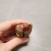 20260726_155413 Zhanguo Red Agate Pair Stone (unpolished) ZR085