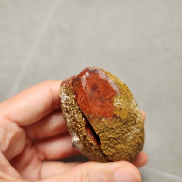 20260726_155429 Zhanguo Red Agate Pair Stone (unpolished) ZR085