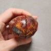 Zhanguo Red Agate Pair Stone (unpolished) ZR086