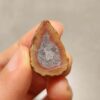 20260726_155941 Zhanguo Red Agate Pair Stone (unpolished) ZR087
