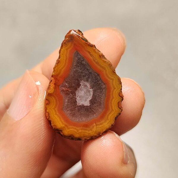 20260726_160132 Zhanguo Red Agate Pair Stone (unpolished) ZR087