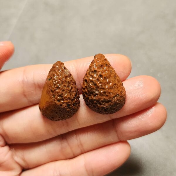20260726_160146 Zhanguo Red Agate Pair Stone (unpolished) ZR087