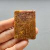 20260727_135423 Fossilized Coral C1310