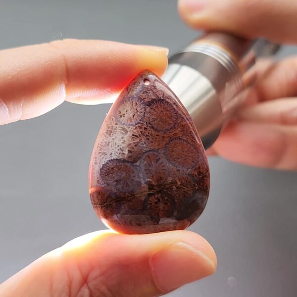 New Project - frame at 0m30s Fossilized Coral C1309