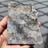 20260828_133107 Fossilized Coral Slab C1343 (unpolished)
