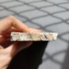 20260828_133110 Fossilized Coral Slab C1343 (unpolished)