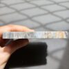 20260828_133119 Fossilized Coral Slab C1343 (unpolished)