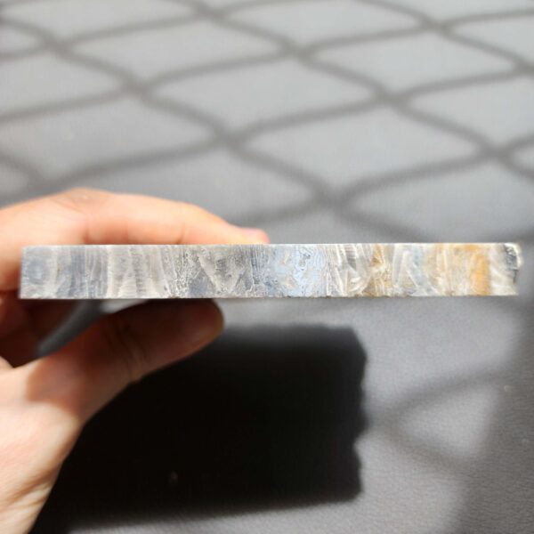 20260828_133119 Fossilized Coral Slab C1343 (unpolished)