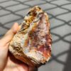 20260828_133713 Fossilized Coral Stone C1352