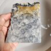 20260828_135923 Fossilized Coral Slab C1343 (unpolished)