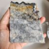 20260828_135931 Fossilized Coral Slab C1343 (unpolished)