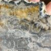 20260829_081936 Fossilized Coral Slab C1343 (unpolished)