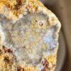 20260829_082752 Fossilized Coral Stone C1352