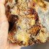 20260829_082807 Fossilized Coral Stone C1352