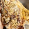 20260829_082815 Fossilized Coral Stone C1352